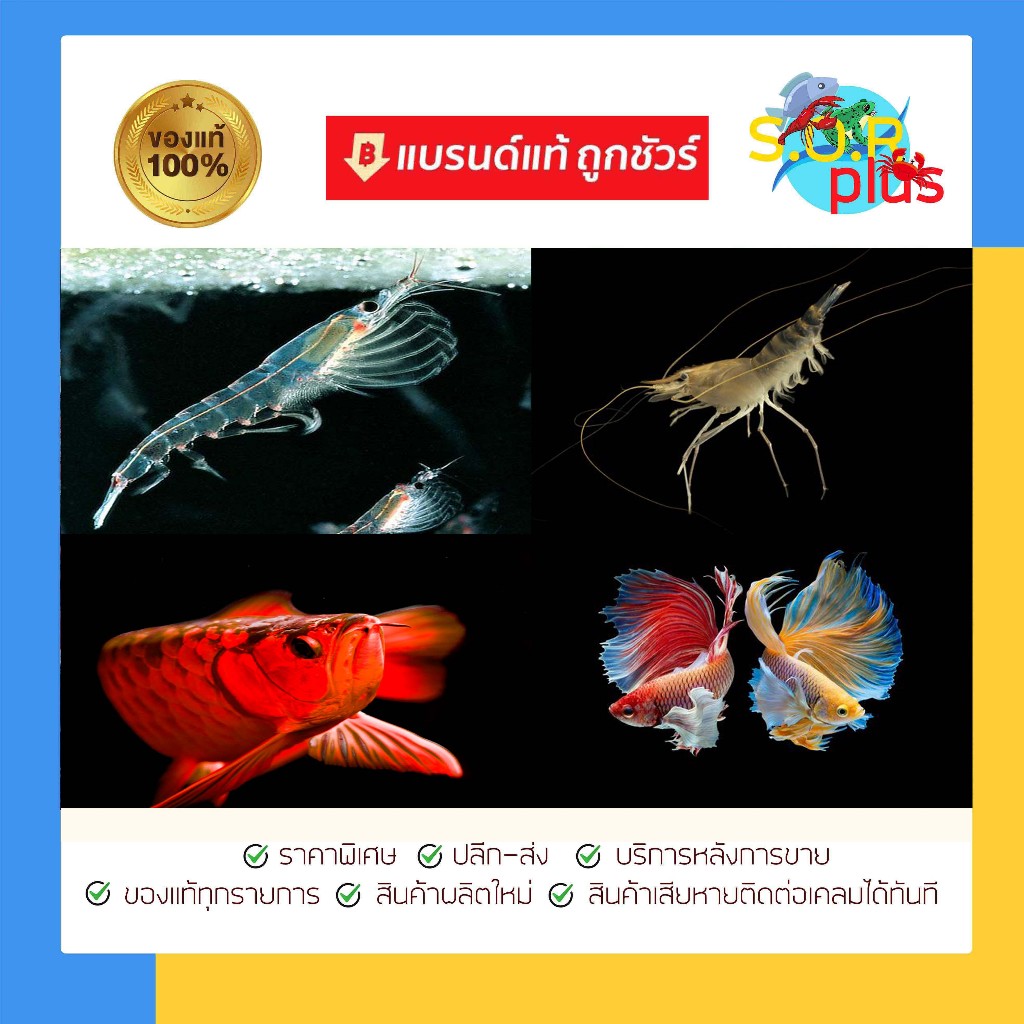 k ปร-สิต แก้ ปัญ หา พยา-ธิ  ภายนอก ทั้งหมด ครอบคลุม เห็นผล สำหรับปลาสวยงาม อุปกรณ์เสริมในการเลี้ยงปลาสวยงาม - รูปที่ 3