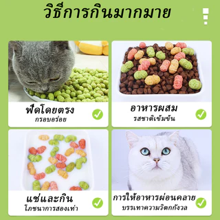 PET LIFE ขนมบิสกิตแมวทำความสะอาดฟันสำหรับของว่าง 60 กรัมของอาหารสัตว์เลี้ยงบดฟันบิสกิตขนาดเล็ก