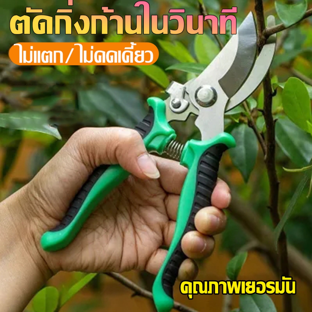 ✄ SK5 กรรไกรตัดกิ่งไม้ กรรไกรแต่งกิ่ง คม ทน กรรไกรสแตนเลส กรรไกรสำหรับตัดแต่งกิ่งไม้ ดอกไม้ เครื่องมือจัดทำสวน