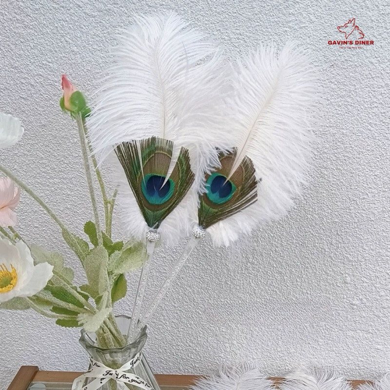 [✅พร้อมส่ง!] ไม้ตกแมวขนนกยูง สวยๆคลีนๆ ชีวิตติดแกลมต้องมี ไม้ตกลูกคุณ