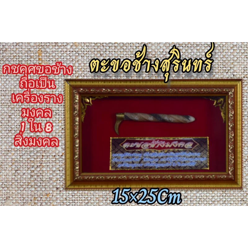 💥ตะขอช้าง💥/ตะขอช้างสุรินทร์/กชคุศขอช้าง
