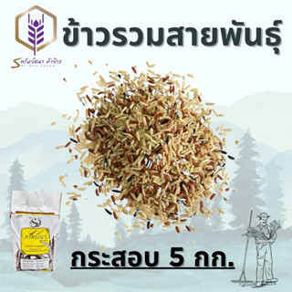ข้าวกล้องรวม3สายพันธุ์แพคกระสอบ 5กิโลกรัม