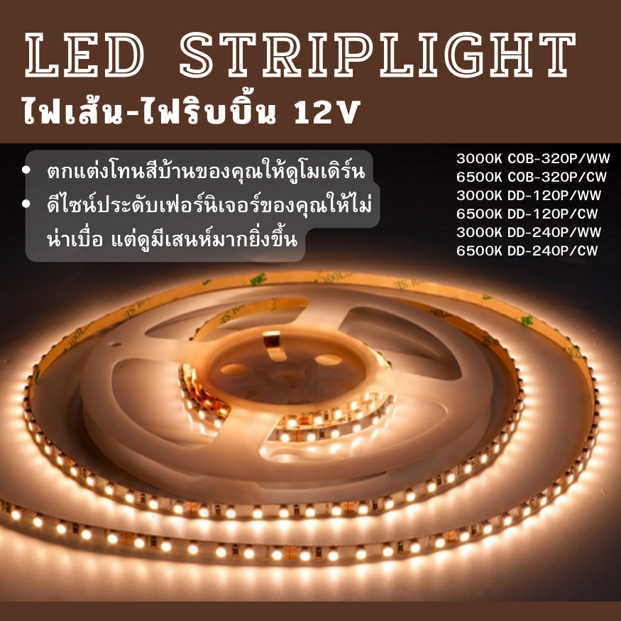 ไฟเส้น LED แสงวอร์ม และ แสงขาว 5M (12V) - 3000K/6500K แรงดันไฟฟ้าต่ำ ไฟริบบิ้น LED STRIPLIGHT