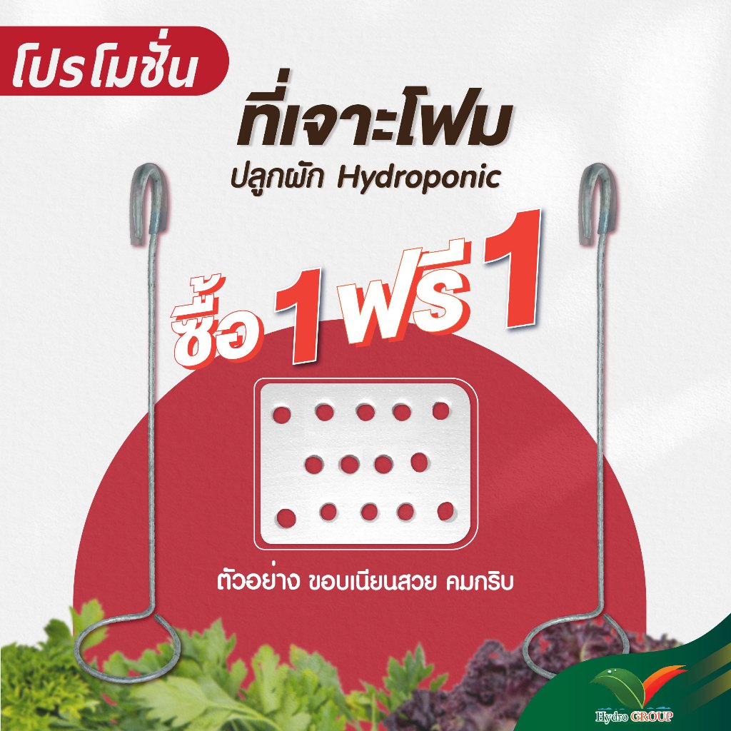 ซื้อ 1 แถม 1!! ที่เจาะโฟมอุปกรณ์ปลูกผักไฮโดรโปนิกส์ By hydroponicgroup