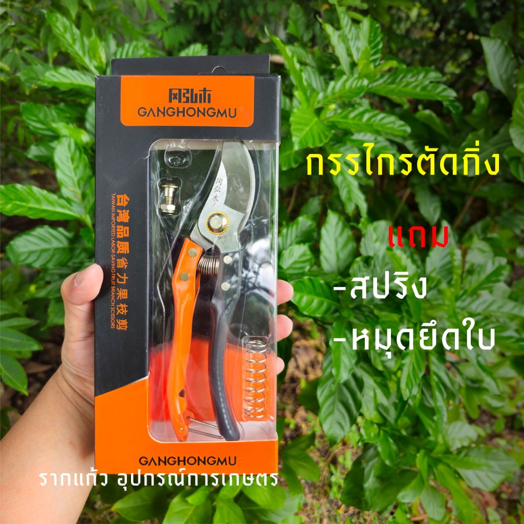 กรรไกรตัดกิ่งไม้ ได้ไปทั้งกล่อง เหล็กSK5 แถมสปริงกับหมุดยึดใบ ใช้งานได้ยาวนาน