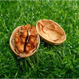Walnut ลูกวอลนัทสำหรับสัตว์เลี้ยง วอลนัทอบแห้ง สำหรับนกแก้ว กระรอก หนูต่างๆ (แบ่งขาย200g/500g/1kg)