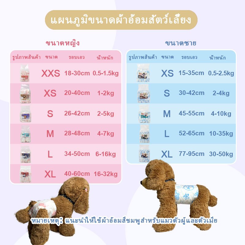 รูปภาพ 2