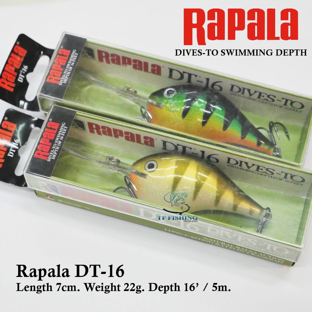 Rapala DT-16 Dives-To  DT16 เหยื่อปลอม ราพาลา สำหรับงานชะโด