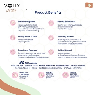 MOLLY✨ BUZZ BEYOND บัซซ์ อาหารเม็ดแมว พรีเมียม สูตรเกรนฟรี อาหารสัตว์เลี้ยง ชนิดเม็ด (ขนาด 1 Kg.)