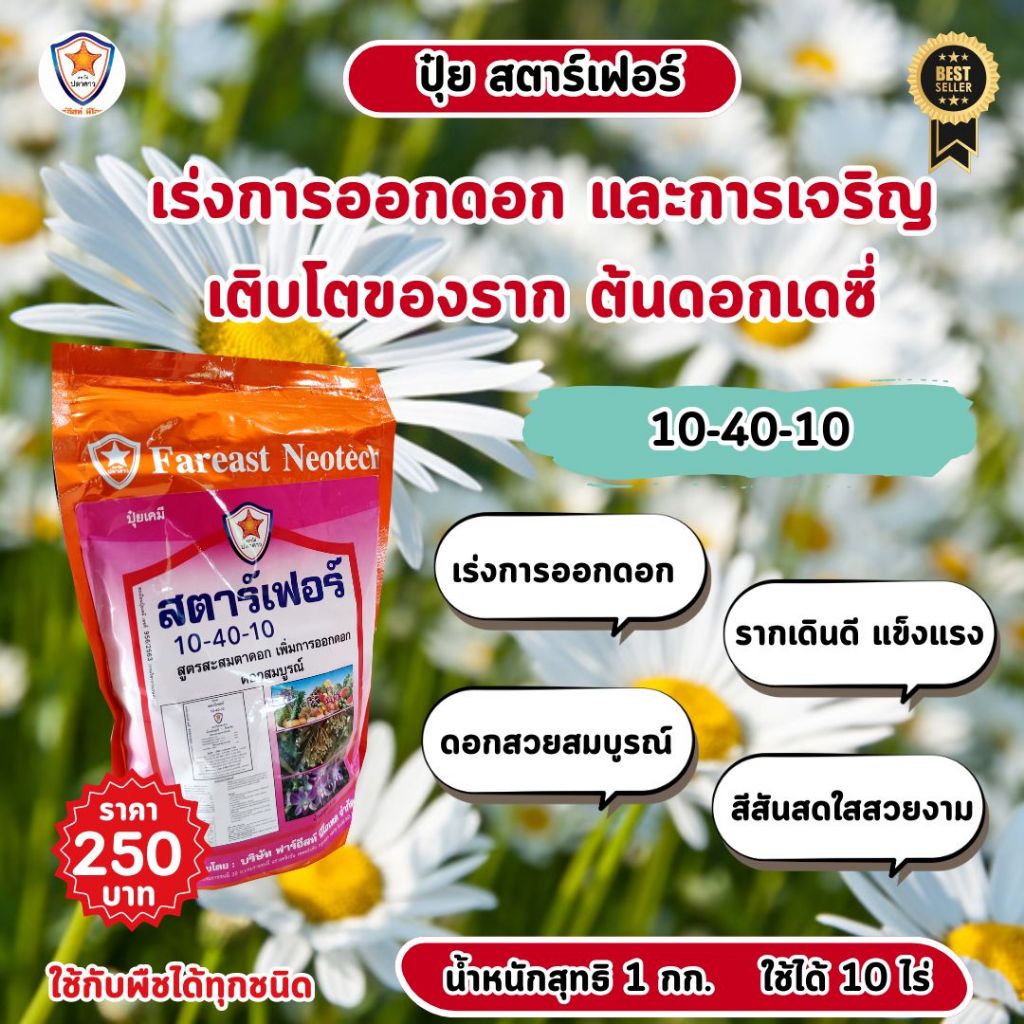 เพิ่มความงดงามให้ต้นดอกเดซี่ด้วยปุ๋ยสตาร์เฟอร์ สูตร 10-40-10 สำหรับเร่งการออกดอก และเร่งราก ต้นดอกเดซี่