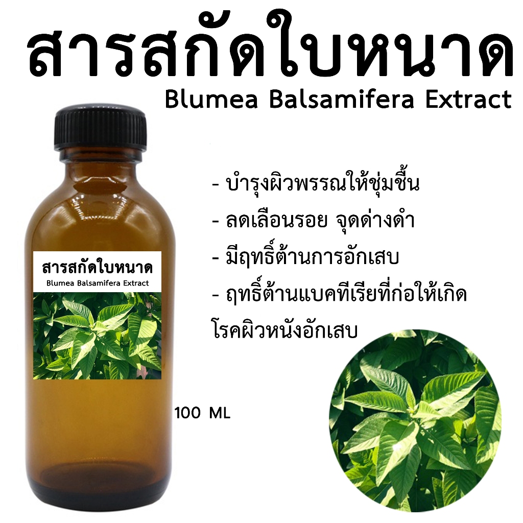 สารสกัดใบหนาด 100 ML I สารสกัดสมุนไพร สำหรับใช้ในเครื่องสำอาง