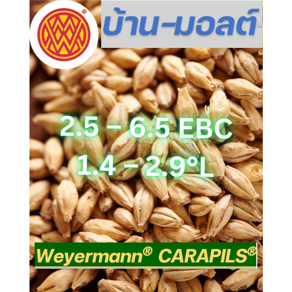 Weyermann - CARAPILS - Malt. มอลต์