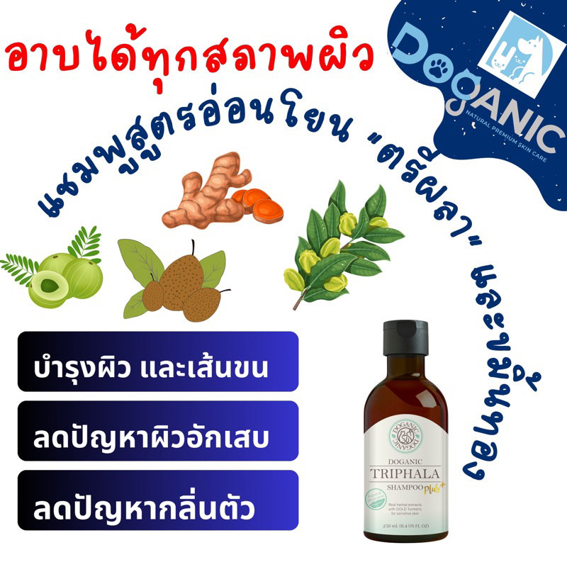 Doganic Triphala Plus Shampoo 250ml. Lot06/2027บำรุงผิวเส้นขน ลดปัญหาผิวอักเสบ ผดผื่นแดงคัน กลิ่นตัว