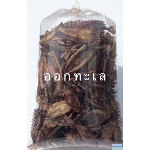 ปลาหมึกมีตา ทอดง่าย ทานอร่อย ไม่เค็ม เป็นหมึกธรรมชาติ เป็นปะมงชาวบ้านทำใหม่