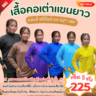 เสื้อคอเต่าแขนยาว เซ็ต 5 ตัว (คละสี) ผ้าไมโคร