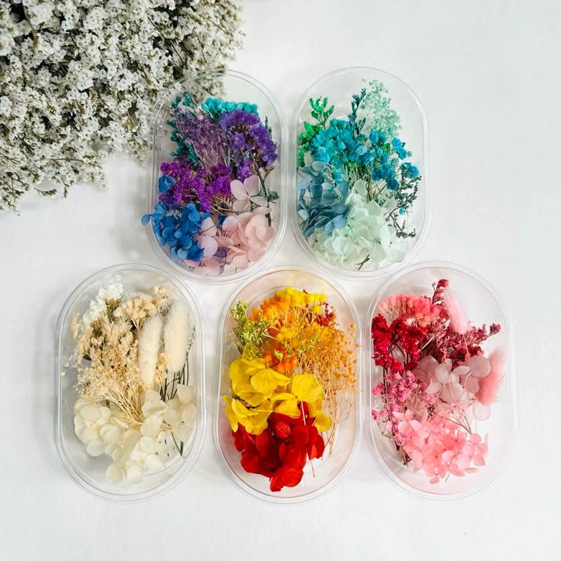 𝓁𝒾𝓁𝒾 ☆ ดอกไม้แห้ง mixed สำหรับงาน diy ทั่วไป เรซิ่น การ์ด dry flower for DIY