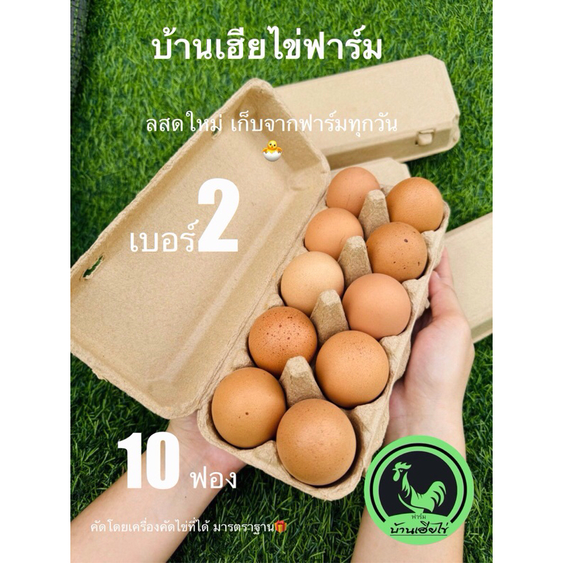 ไข่ไก่ เบอร์2 สดใหม่จากฟาร์มวันต่อวัน พร้อมส่ง10ฟอง