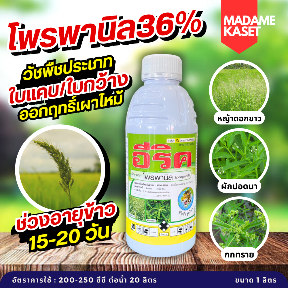 อีริค (โพรพานิล 36%) กำจัดหญ้าในนาข้าว ทั้งใบแคบ ใบกว้าง กก ผักปอดนา เทียนนา หญ้าข้าวนก หญ้าดอกขาว ออกฤทธิ์เผาไหม้