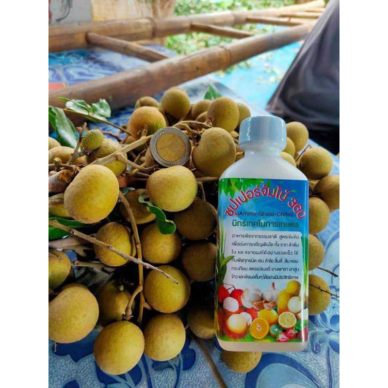 ซุปเปอร์จัมโบ้360 Amino-Gluco-Chitin ขยายผลใหญ่,โตไว,เร่งราก,ต้นแข็งแรง,ผลดก,ขั่วเหนียว ราคา ถูกที่สุด ดีลบีเคเค