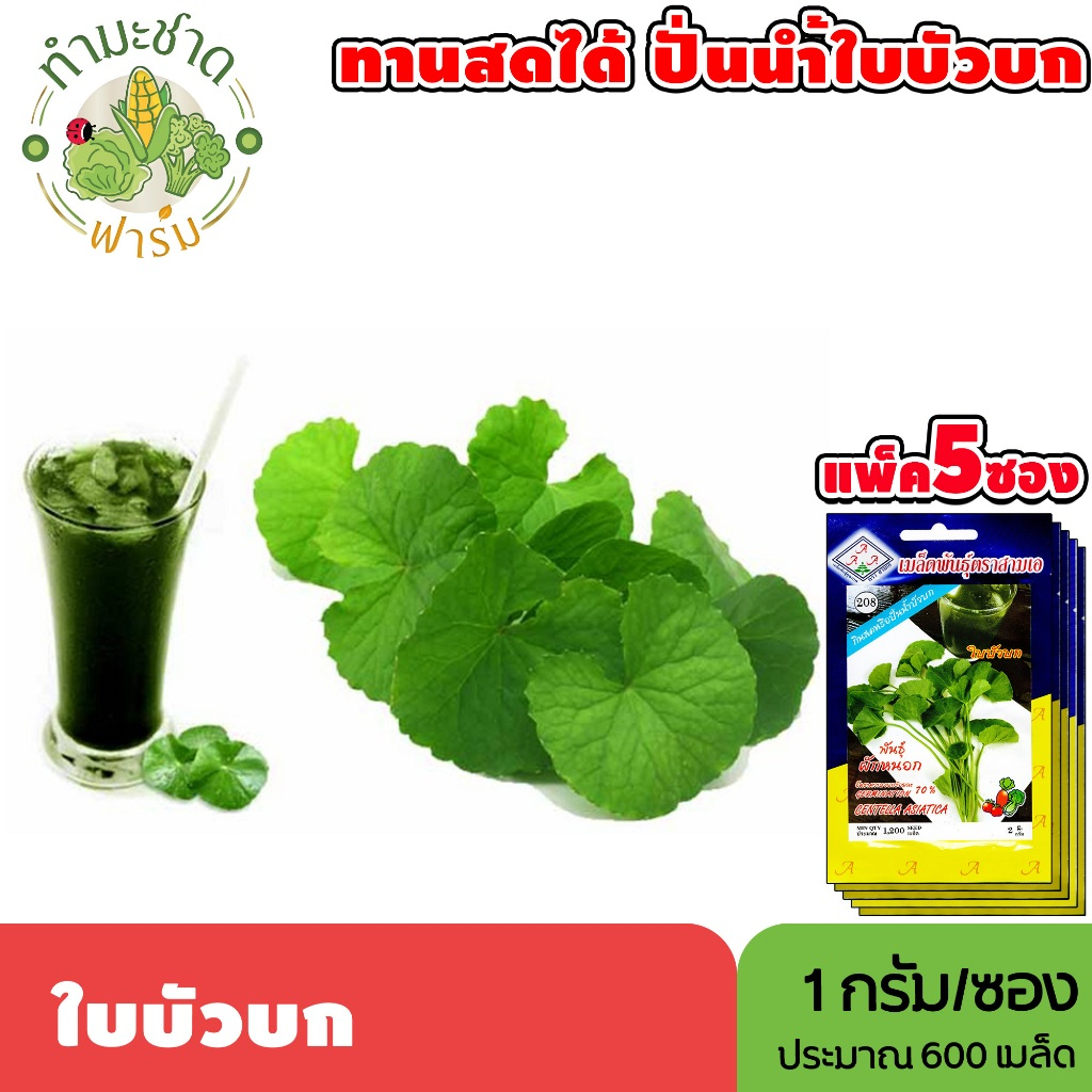 [แพ็ค 5 ซอง] 3A เมล็ดพันธุ์ ใบบัวบก ขนาดซองละ1กรัม ประมาณ600เมล็ด/ซอง CENTELLA ASIATICA  ผักหนอก ผักแว่น กะบังนอก เมล็ด