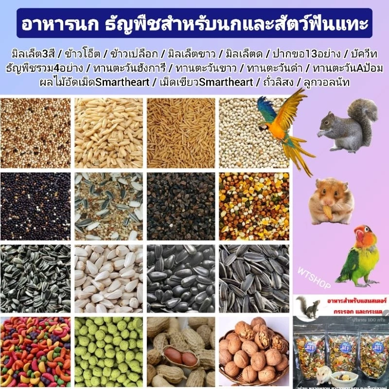 อาหารนก อาหารแฮมสเตอร์ ธัญพืชสำหรับนกและแฮมสเตอร์ (แบ่งขาย)