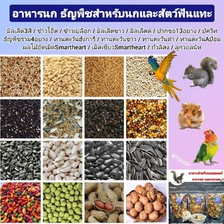 อาหารนก อาหารแฮมสเตอร์ ธัญพืชสำหรับนกและแฮมสเตอร์ (แบ่งขาย)
