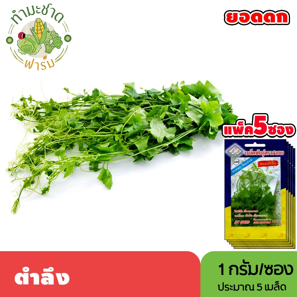 [แพ็ค 5 ซอง] 3A เมล็ดพันธุ์ ตำลึง ขนาดซองละ1กรัม ประมาณ5เมล็ด/ซอง IVY GOURD ยอดตำลึง เมล็ดพันธุ์พืช เมล็ดผัก ปลูกผักสวน