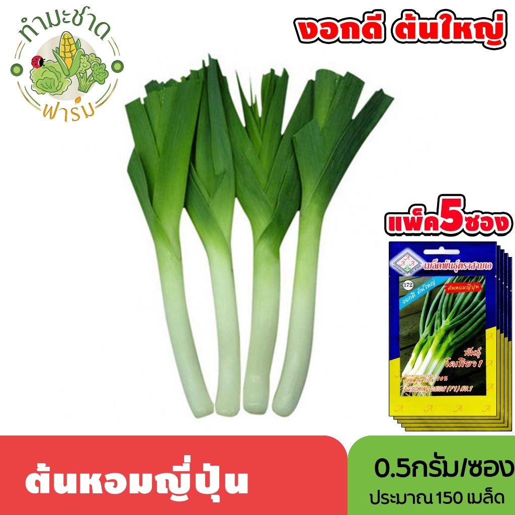 [แพ็ค 5 ซอง] 3A เมล็ดพันธุ์ ต้นหอมญี่ปุ่น ขนาดซองละ0.5กรัม ประมาณ150เมล็ด/ซอง BUNCHING ONION ต้นหอม  เมล็ดพันธุ์พืช