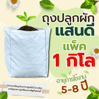 ถุงเพาะปลูก 1 กิโล ตราแสนดี  เพาะชำ ปลูกผัก ระบายน้ำดี รากเด…