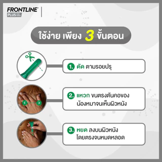 Frontline Plus Cat ฟรอนท์ไลน์ พลัส ยาหยดกำจัด เห็บ หมัด สำหรับแมว 8 สัปดาห์ขึ้นไป วอส.1358/2554