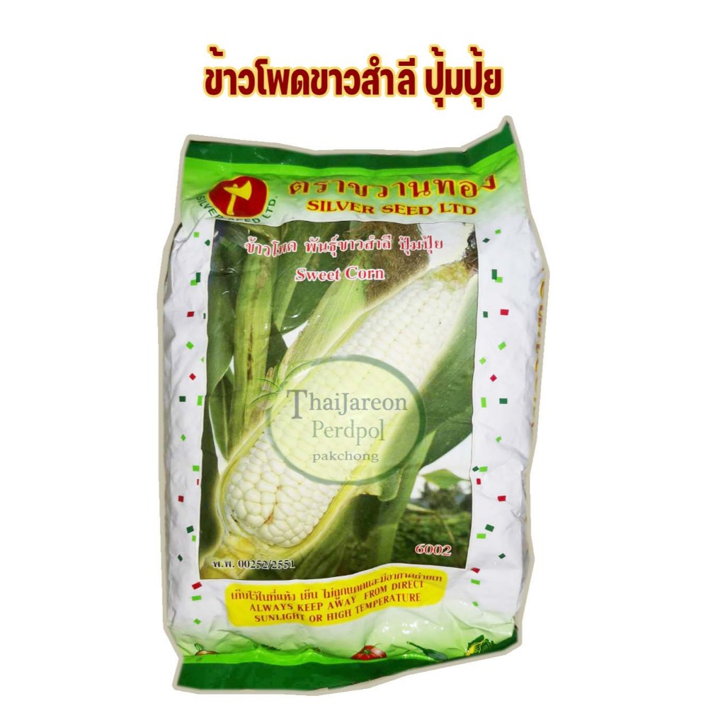 เมล็ดพันธุ์ ข้าวโพดขาว ปุ้มปุ้ย ข้าวโพดข้าวเหนียวหวาน หวานนุ่ม เนื้อสีขาว อายุเก็บเกี่ยว60-65 วัน