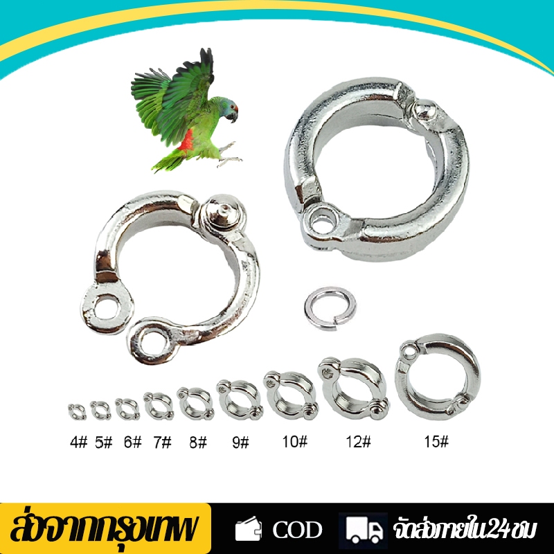 ห่วงเปิดขานก ห่วงเปิด พร้อมห่วงล็อค ห่วงขานกแก้ว สีเงิน สำหรับนกแก้วทุกชนิด