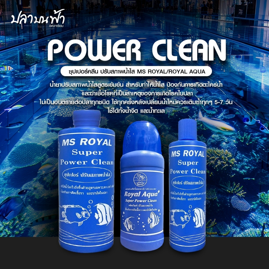 MS ROYAL Super Power Clean ซุปเปอร์ปรับสภาพน้ำใส ใช้ได้ทั้งน้ำจืด และน้ำทะเล