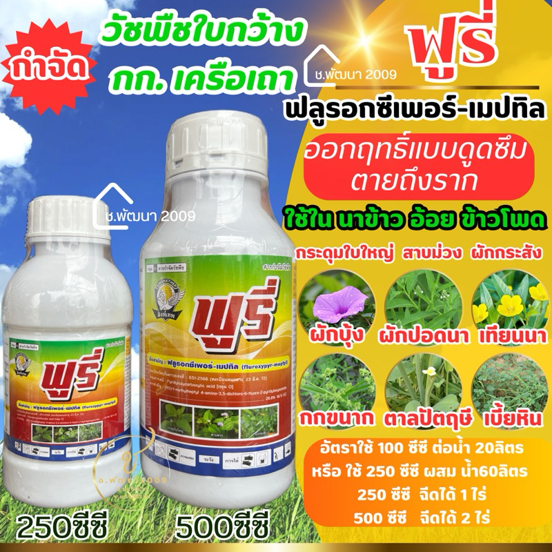 ⚡️ ฟูรี่ ฟลูรอกซีเพอร์-เมปทิล กำจัดวัชพืช ใบกว้าง เครือเถา ในข้าวโพด อ้อย นาข้าว ปาล์ม ยาทาตอไม้ไม่มีผลต่อข้าวและข้าวโพด