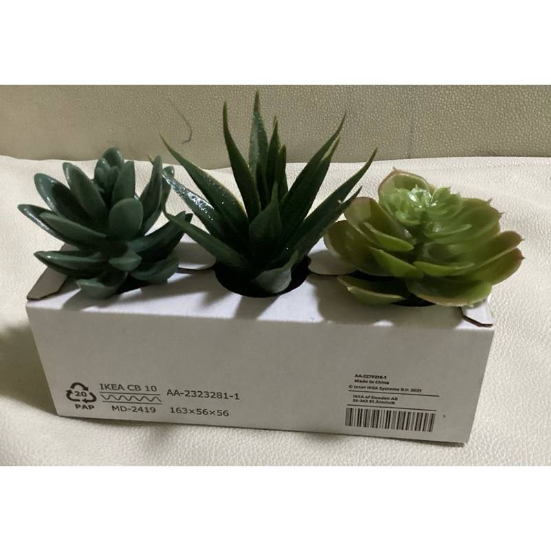 IKEAแท้ FEJKA เฟคก้า FEJKA เฟคก้า ไม้ประดิษฐ์ในกระถาง+กระถาง, ใน/นอกอาคาร ต้น Succulent, 6 ซม. 3 ชิ้น