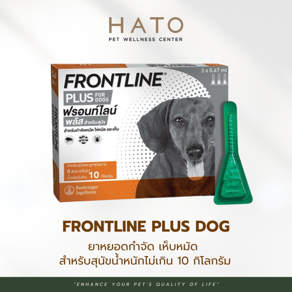 FRONTLINE PLUS DOG Size S (0-10 kg) ฟรอนท์ไลน์ พลัส ยาหยดกำจัดเห็บหมัด สำหรับสุนัข 1 กล่อง (3หลอด)