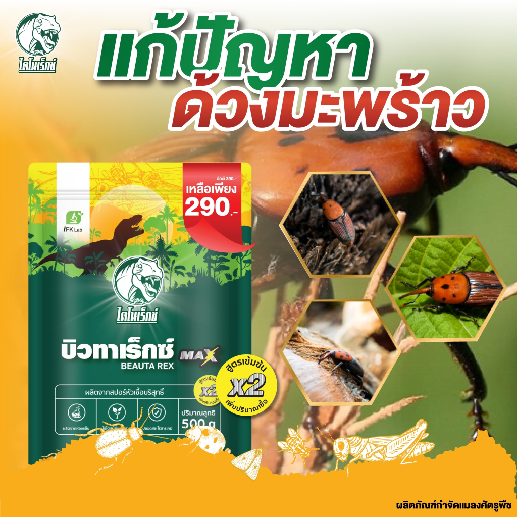 ยากำจัดด้วงมะพร้าว ยาฆ่าด้วงมะพร้าว ใช้เมธาไรเซียม MIX เชื้อบิวเวอร์เรีย (บิวทาเร็กซ์แม็กซ์) ปลอดภัย