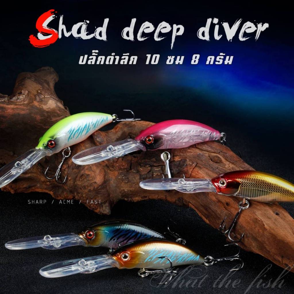 เหยื่อปลั๊กดำลึก 10cm 8g รวมลิ้น  เหยื่อปลั๊กลอย floating เหยื่อปลอม เหยื่อตกปลาชอน R142 – โปรปัง