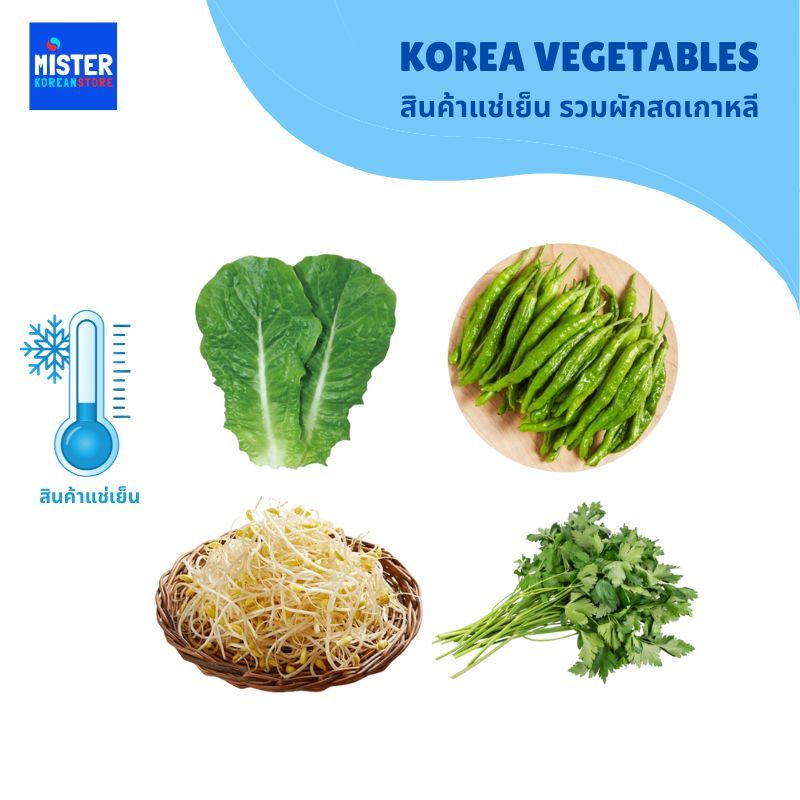 🆒สินค้าแช่เย็น รวมผักสดเกาหลี KOREA VEGETABLES 코리아야채 상추, 콩나물, 미나리, 꽈리고추,애호박