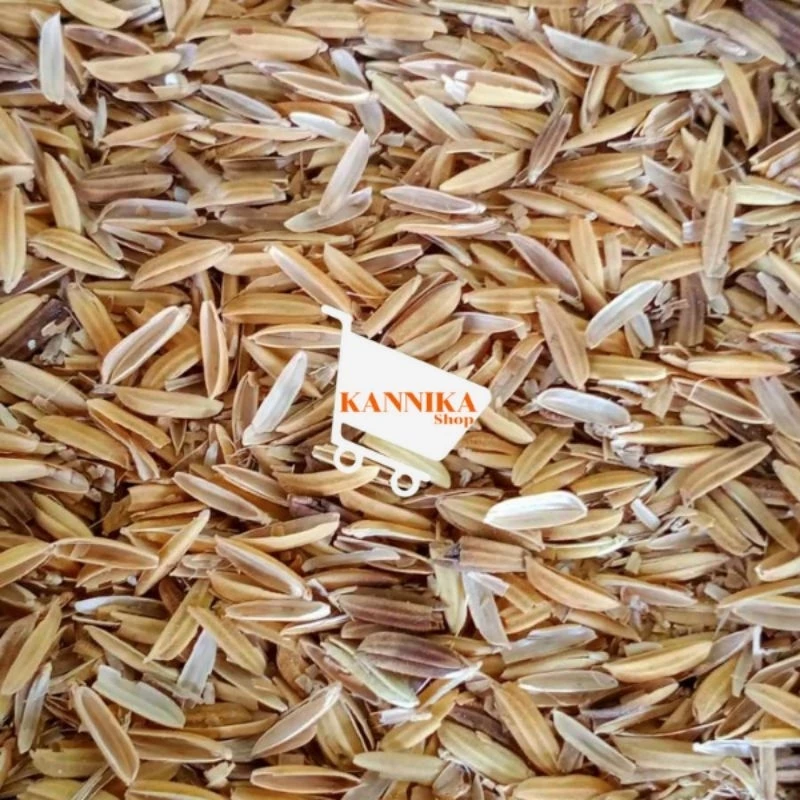 แกลบดิบ แกลบข้าว 500g,1kg 📢1 คำสั่งซื้อ สูงสุด 10 กิโลกรัมเท่านั้น