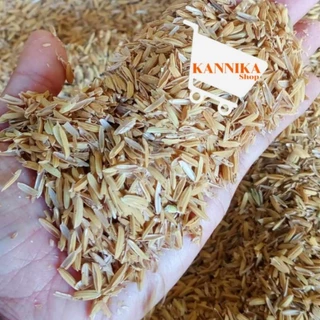 แกลบดิบ แกลบข้าว 500g,1kg 📢1 คำสั่งซื้อ สูงสุด 10 กิโลกรัมเท่านั้น