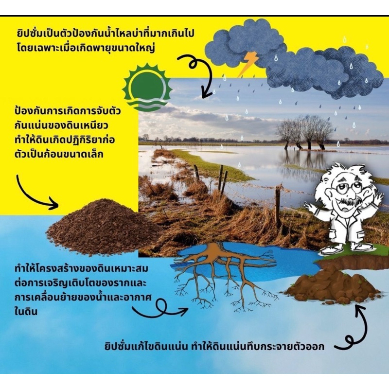 ยิปซั่มตราพระอาทิตย์  1กระสอบ บรรจุ 25โล ยิปซั่มใส่ทุเรียน ปรับปรุงดิน รักษาราก สำหรับการเกษตร - รูปที่ 3
