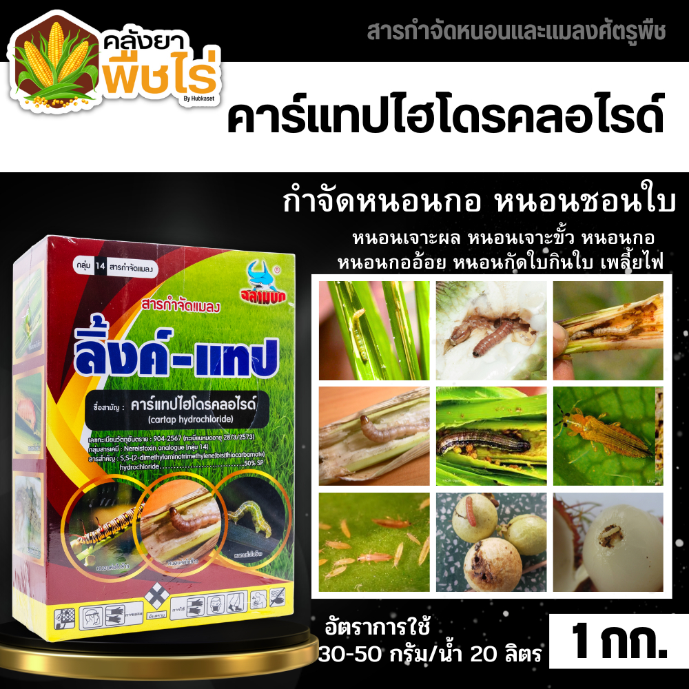 ลิ้งค์-แทป (คาร์แทป-ไฮโดรคลอร์ไรด์) 1กิโลกรัม กำจัดหนอนกอ หนอนม้วนใบ หนอนกระทู้ เพลี้ยอ่อน เป็นพิษต่อผึ้งต่ำ