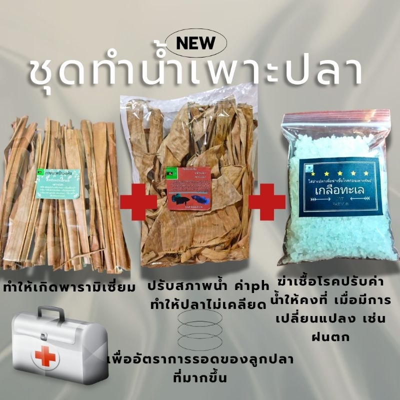 ชุดทำน้ำเริ่มต้น เตรียมเพาะพันธุ์ปลากัด
