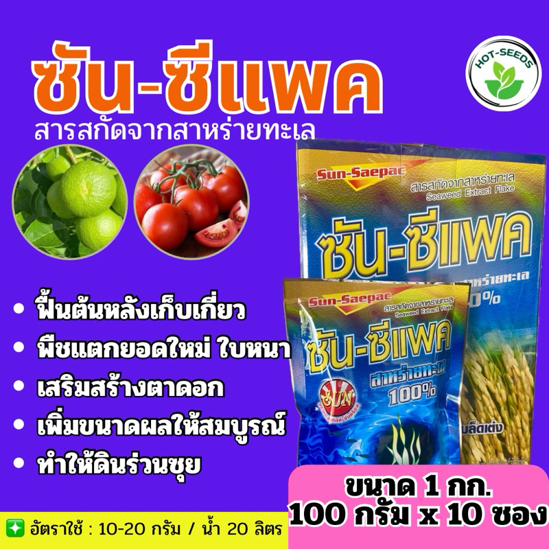 ✅ ซัน-ซีแพค ขนาด 1 กก.(100กรัม x 10 ซอง) สาหร่ายทะเลผง100% สูตรเข้มข้น ช่วยแตกตาใบ แตกตาดอก ขยายผล