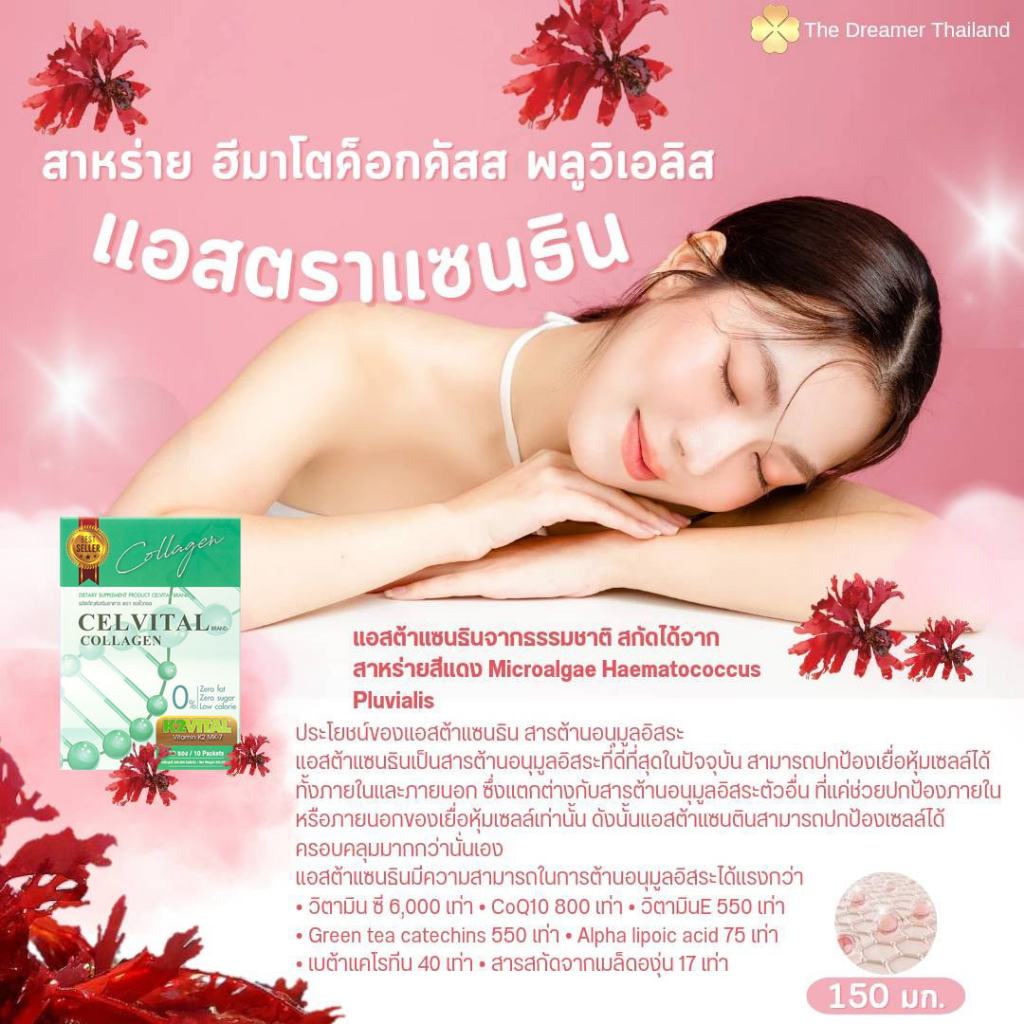 CELVITAL Collagen เซลไวทอล คอลลาเจน ผลิตภัณฑ์เสริมอาหารดูแลกระดูกและข้อ The Dreamer ของแท้100%