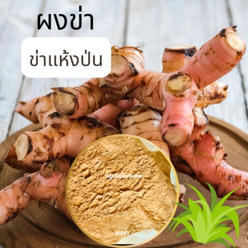 ข่าบดผง ข่าป่น ข่า  ผงข่า  galangal powder ขนาด 1000 กรัม