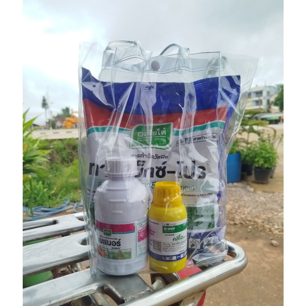 คลีโอ โปร คุมและฆ่าหญ้าในข้าวโพด ฉีดทับข้าวโพดได้ หญ้าตาย ข้าวโพดไม่ตาย  ราคา135