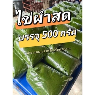 ไข่ผำสด จากฟาร์มเพาะเลี้ยง ทานได้ขยายพันธุ์ได้ 500 กรัม