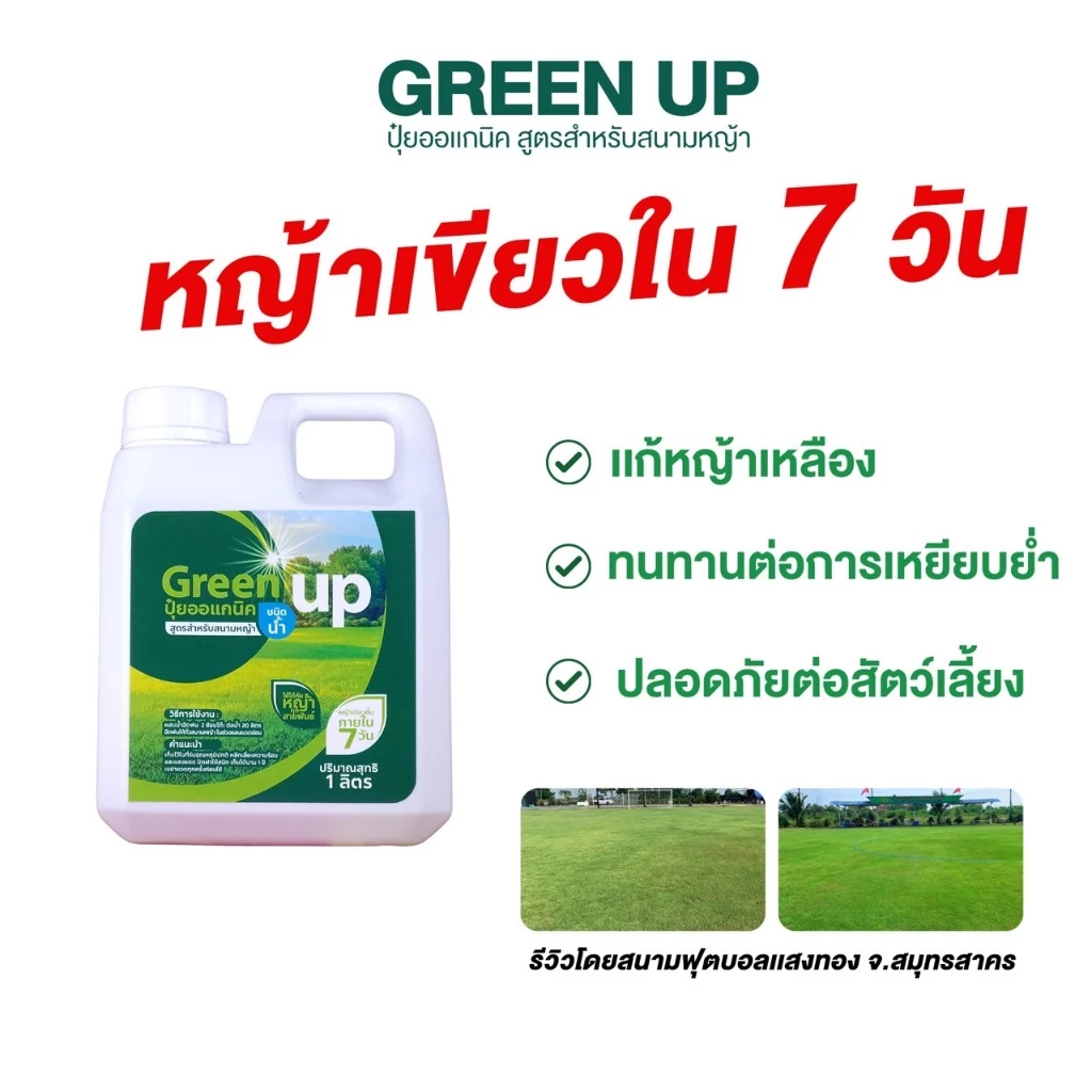 Green up บำรุงหญ้า เร่งหญ้าเขียว แก้หญ้าเหลือง ปุ๋ยสนามหญ้า สำหรับหญ้าทุกสายพันธุ์ ใบเขียว แข็งแรง